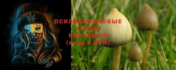 a pvp Гусев