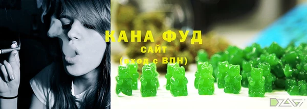 стаф Арсеньев