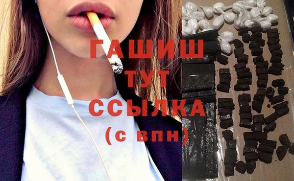 стаф Арсеньев