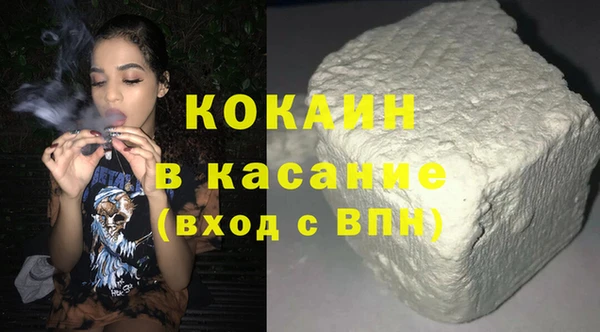 стаф Арсеньев