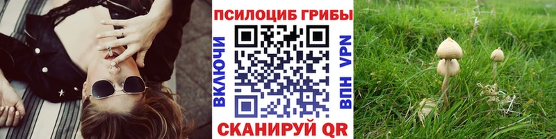 Галлюциногенные грибы мицелий  наркошоп  Старая Русса 